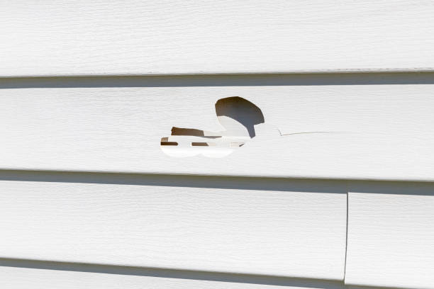 Best Insulated Siding Installation  in Valley, NE